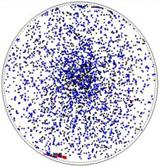 cleaning particle measurement result