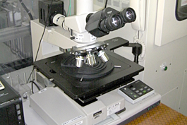 Differential interference contrast microscope